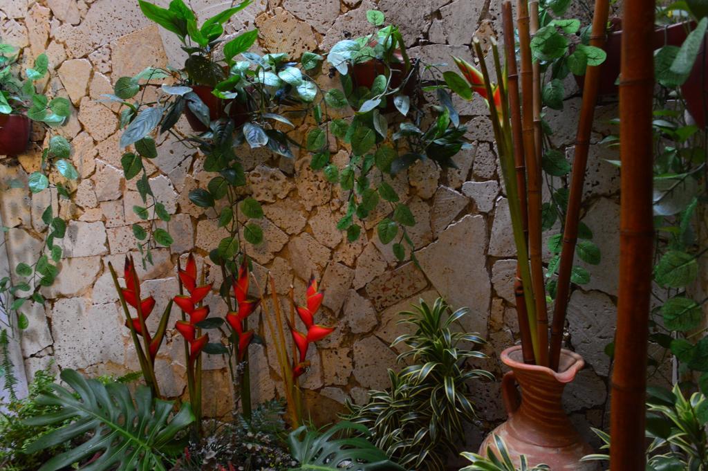 Cartagena Hotel Torre Del Reloj מראה חיצוני תמונה